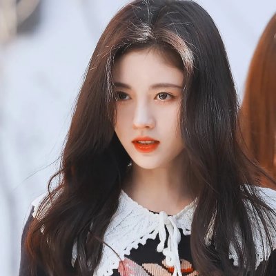 狗的生涯