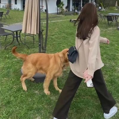 疯狂的摄像机